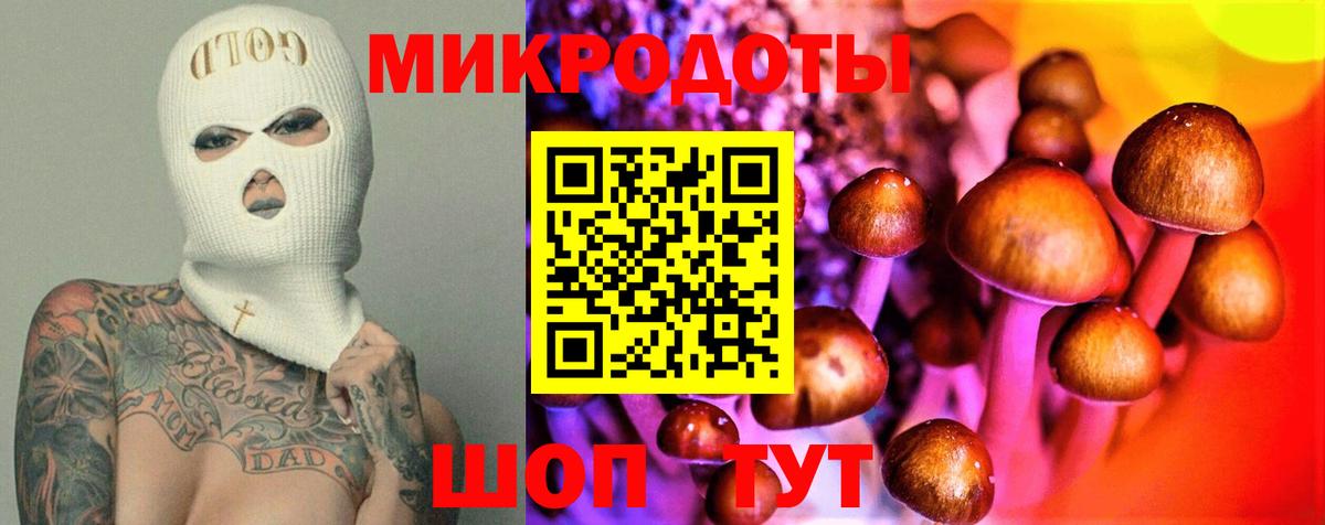 Псилоцибиновые грибы MAGIC MUSHROOMS Саров